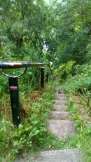 Samois : Descente en bord de Seine